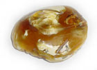 Amber piece